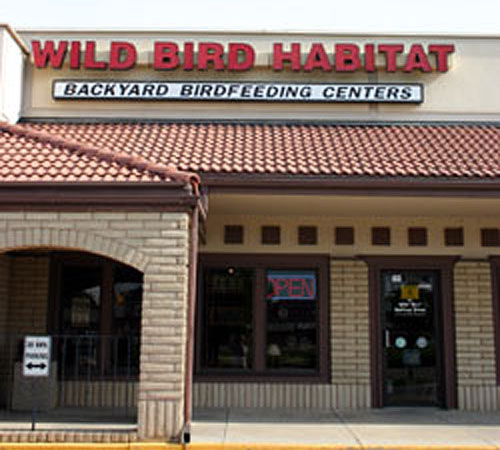 Alamo Plaza Store