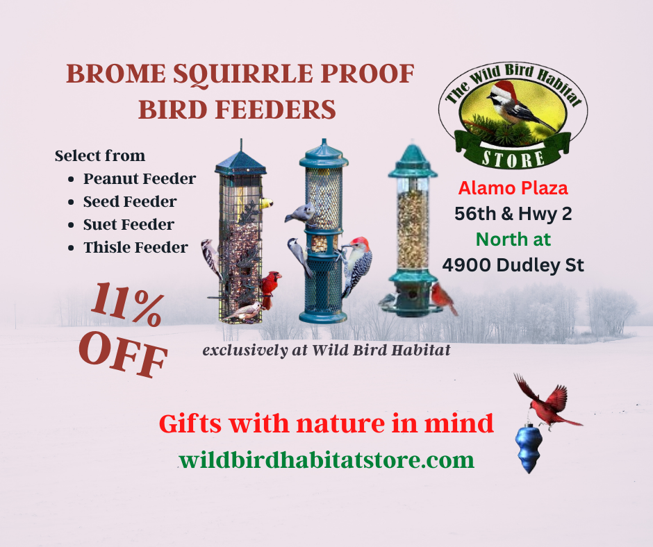 Merry Christmas from the Wild Bird Habitat Stores