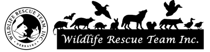 Wildlife Rescue