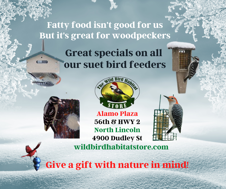 Merry Christmas from the Wild Bird Habitat Stores