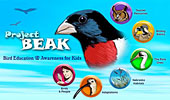 Project Beak