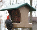 Birds Choice Recycled Feeders