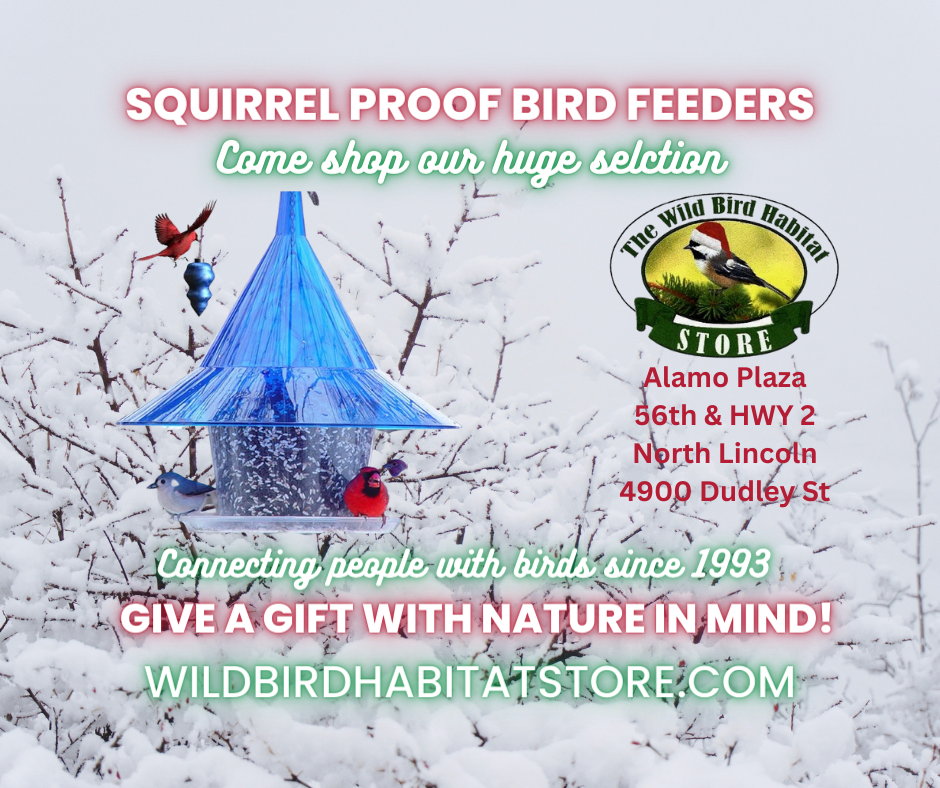 Merry Christmas from the Wild Bird Habitat Stores