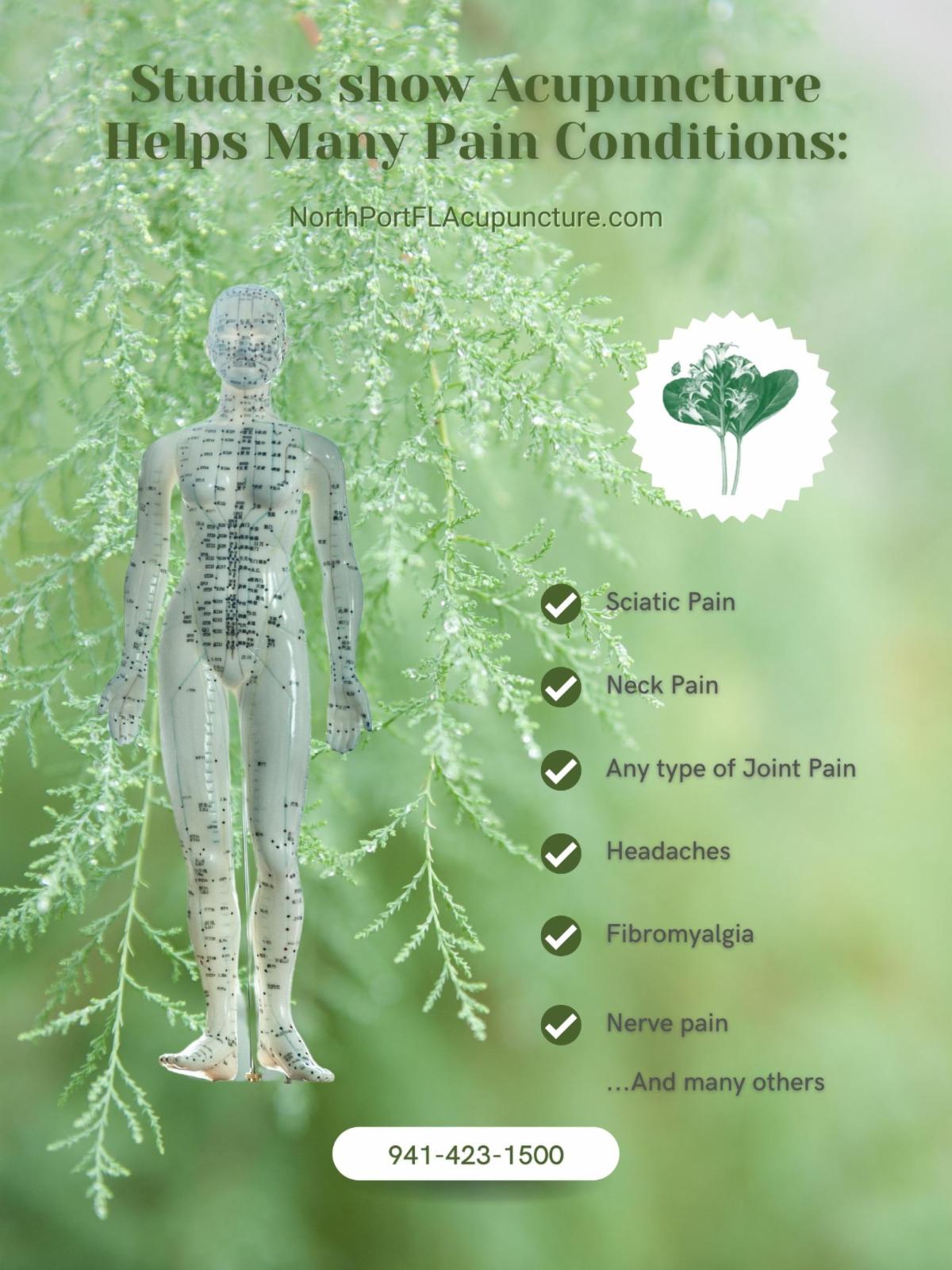 👩‍⚕️ Acupuncture as an alternative to opioids for back pain