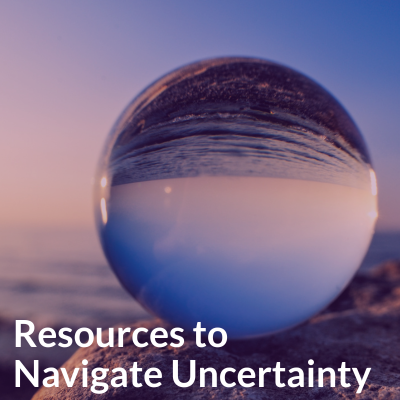 Crystal ball perched on the edge of a big rock beside the sea. A reflection of the water and rock and sky is upside down within the orb. Text reads 'Resources to Navigate Uncertainty.'