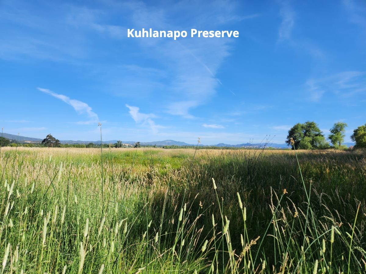 Kuulanapo 2025