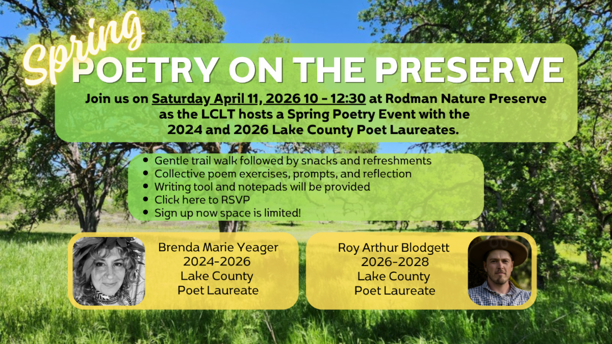 News_View_s_Spring_Poetry_Rodman_Event_p1.png