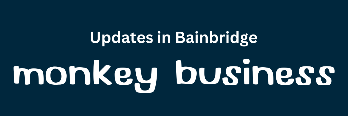 Shoalie School, Monkey Updates, and More