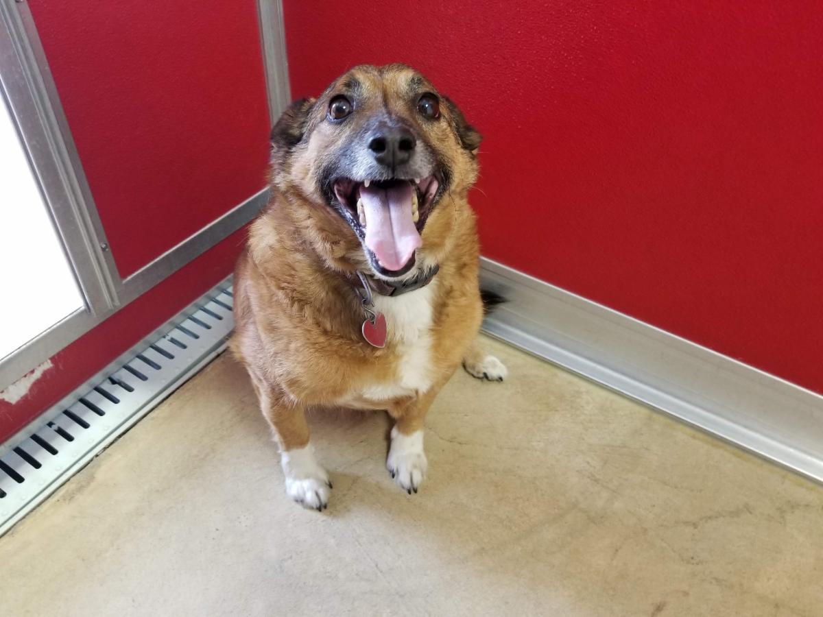 Buddy POTW