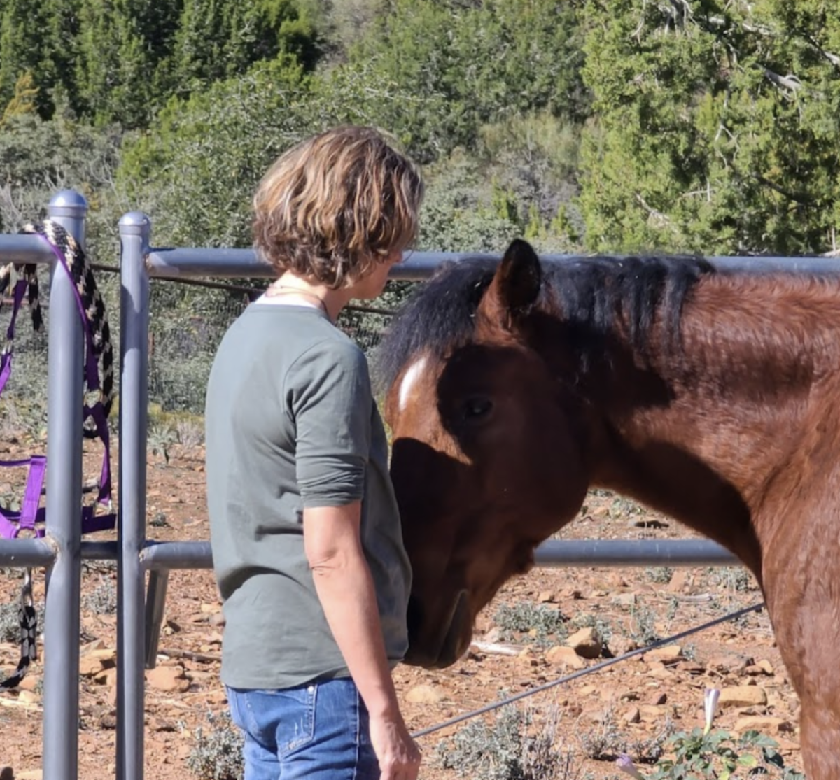 Chandi and Salsa Equine Guidance Session.png
