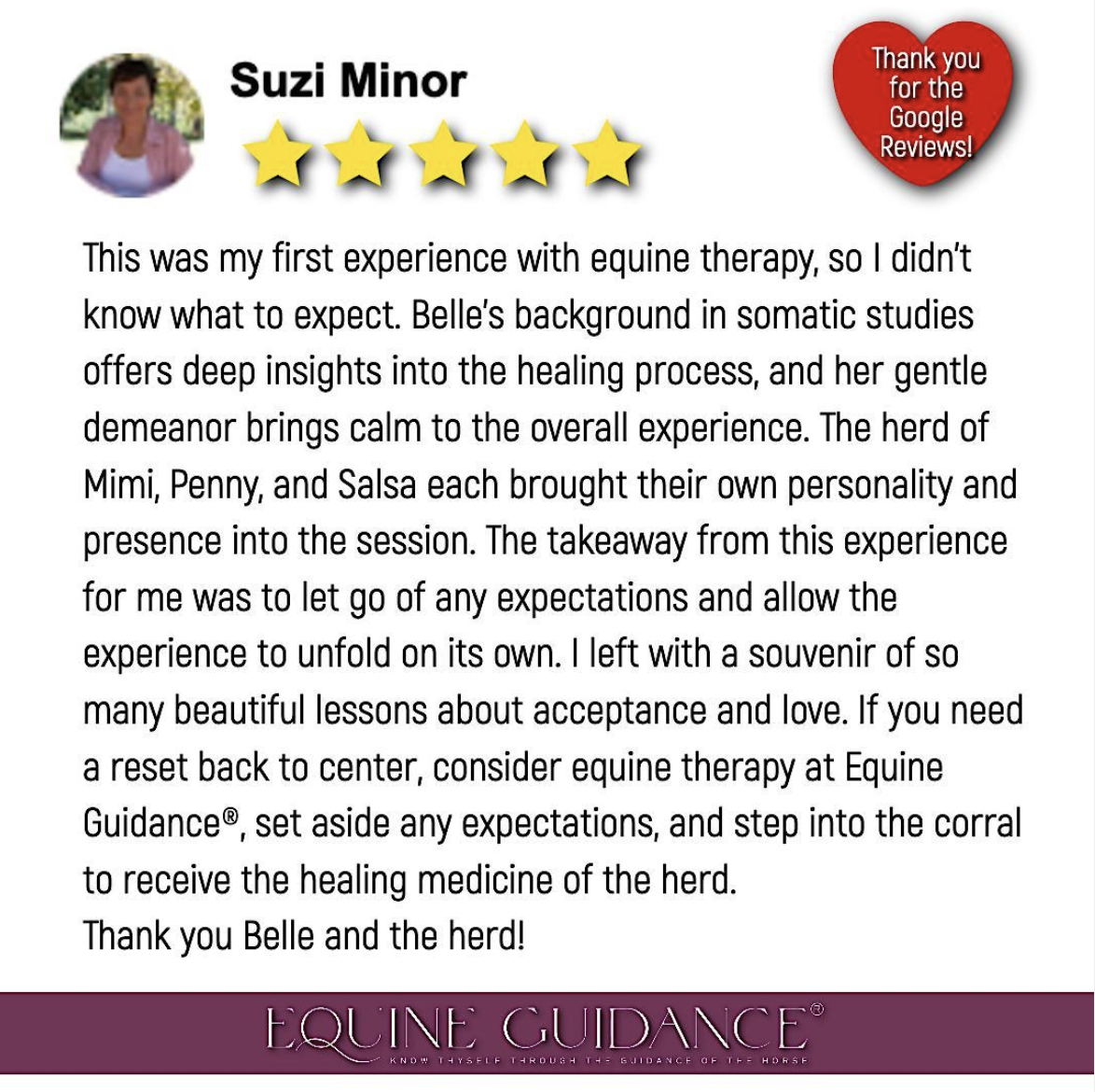 Suzi Minor Five Star Review.png