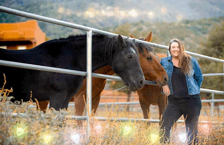 Belle Shook New Herd.jpg