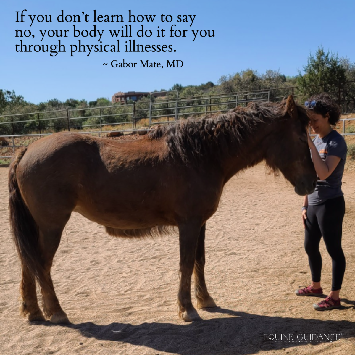 belle-shook-equine-guidance-1-61b943dbec99e.png