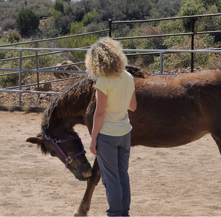 Erin Pink Mosely Equine Guidance.png