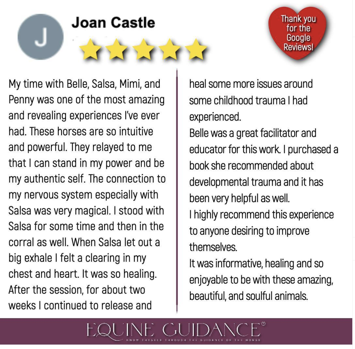 Joan Castle Five Star Review.png