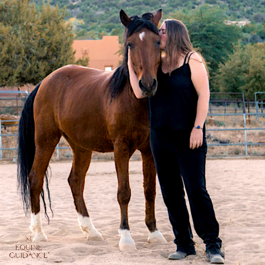 salsa-and-belle-equine-guidance-1-60f628c794af5.png