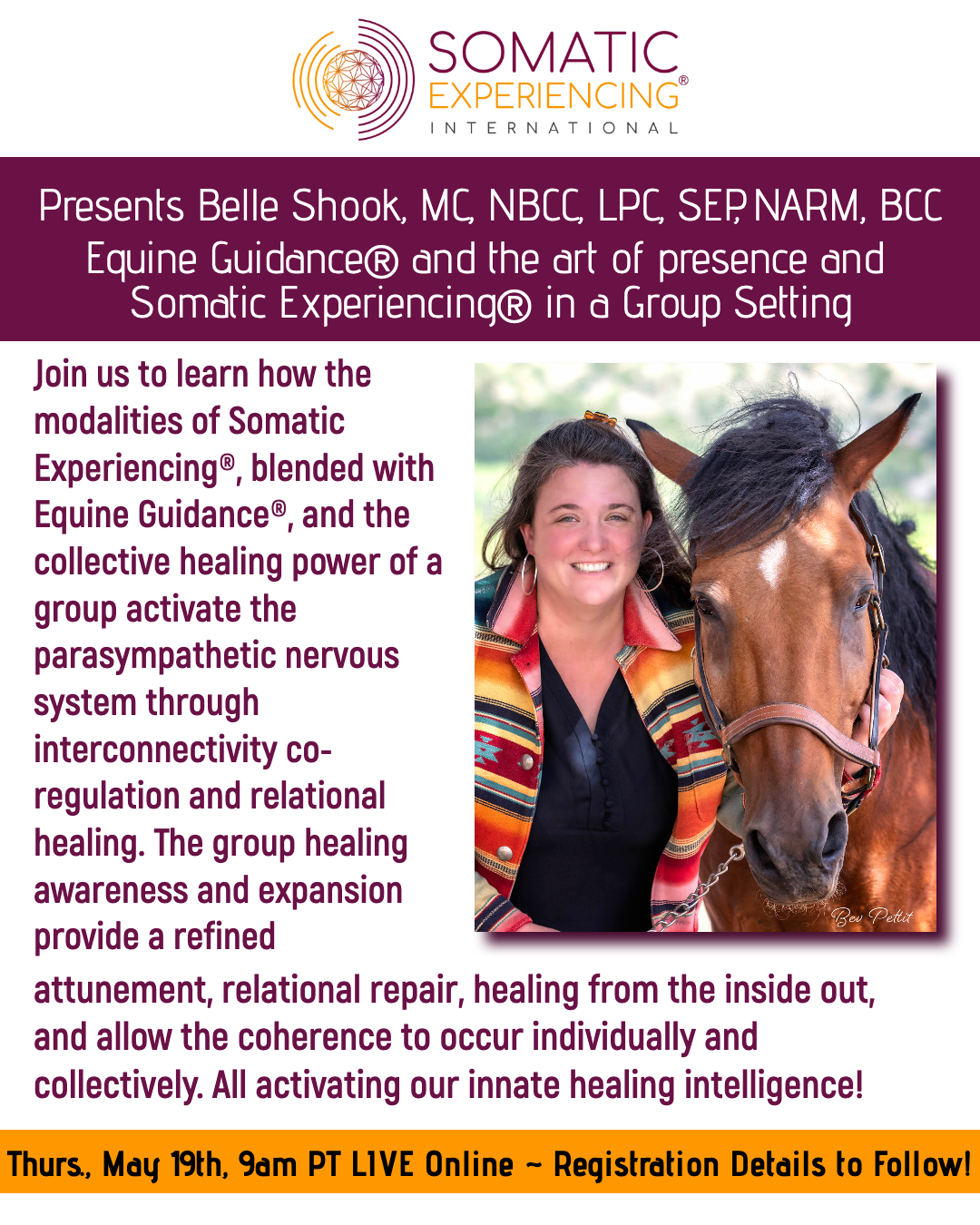 belle-shook-equine-guidance-se-presentation-1-6260a1cfe58ca.png