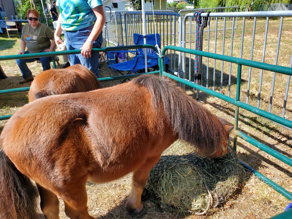Kearney OktoberFest 2024