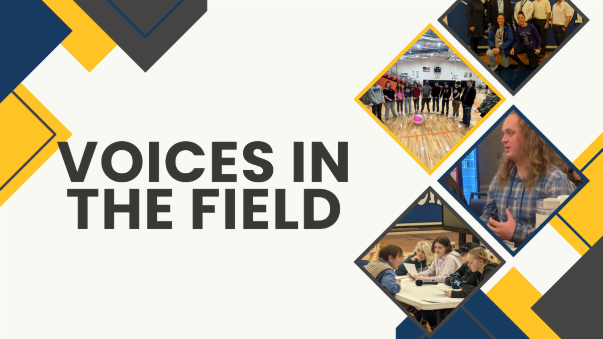 Photo Collage of Voices in the Field.