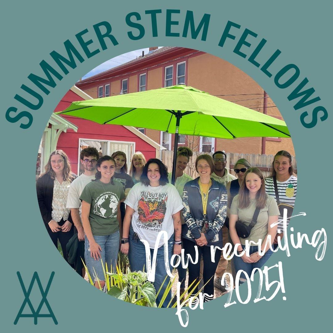 Photo of STEM Fellows.