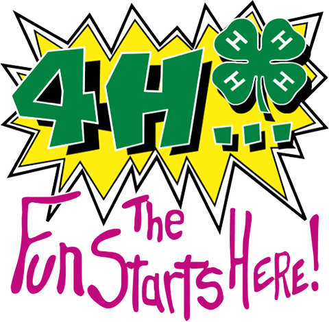 4-H the fun starts here!