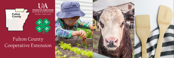 Fulton County Extension logo