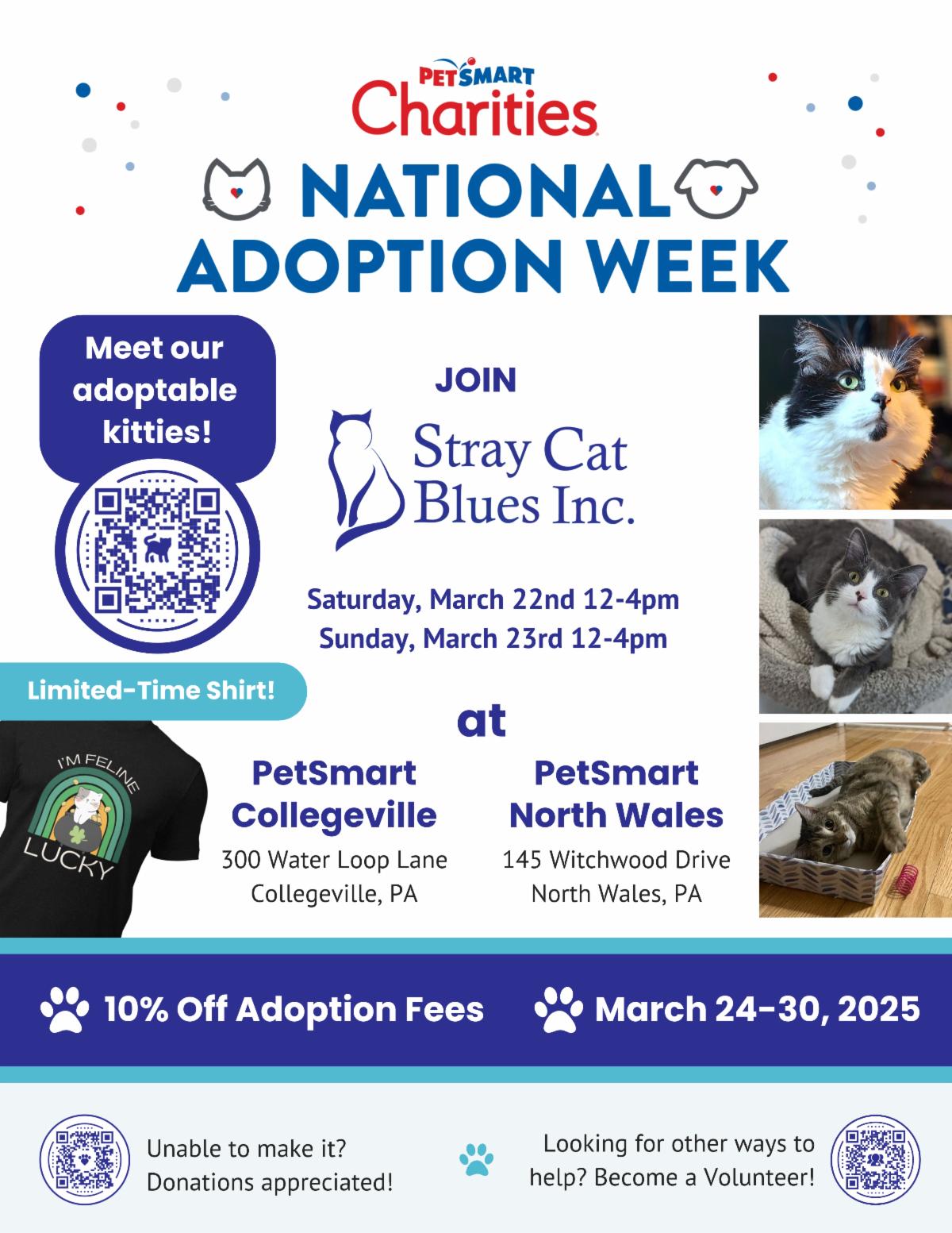 National Adoption Week Flyer