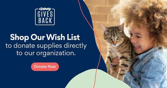 Shop our Chewy Wishlist