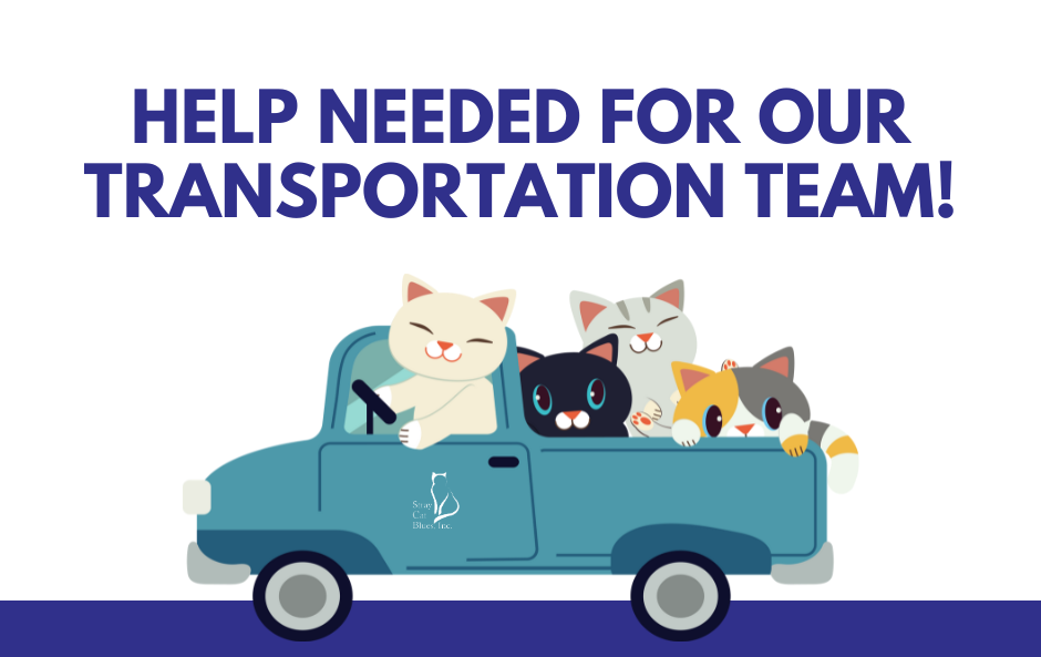 Help needed for our Transportation team