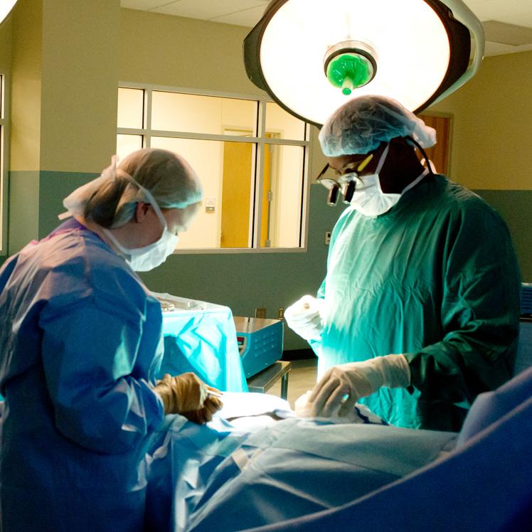 Surgical technologists in operating room