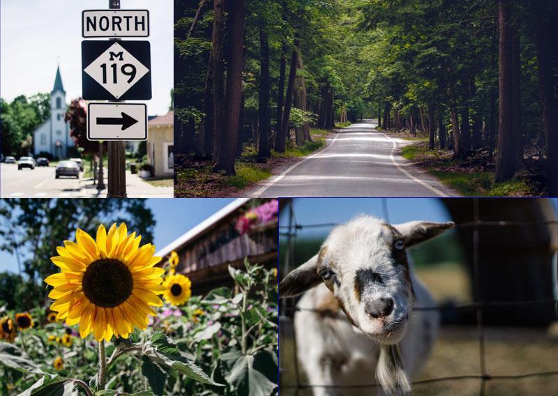 Michigan's Iconic Tunnel of Trees