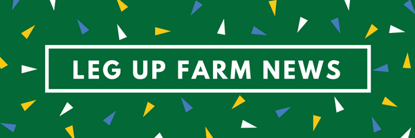 E-Newsletter header.png