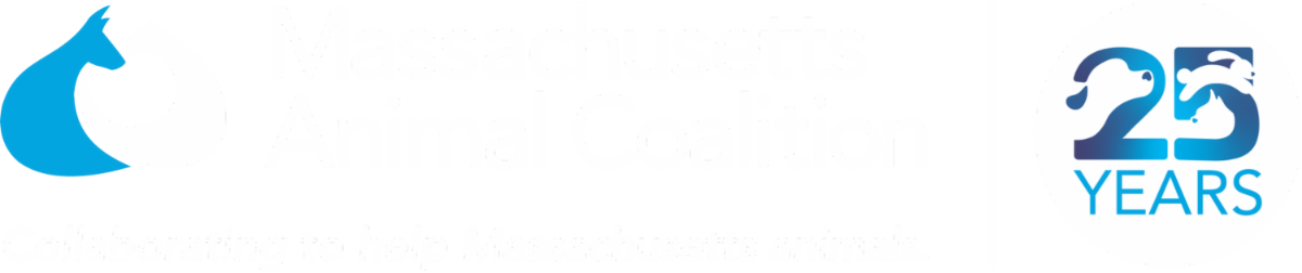 MAC-25th-Logo_MB.png