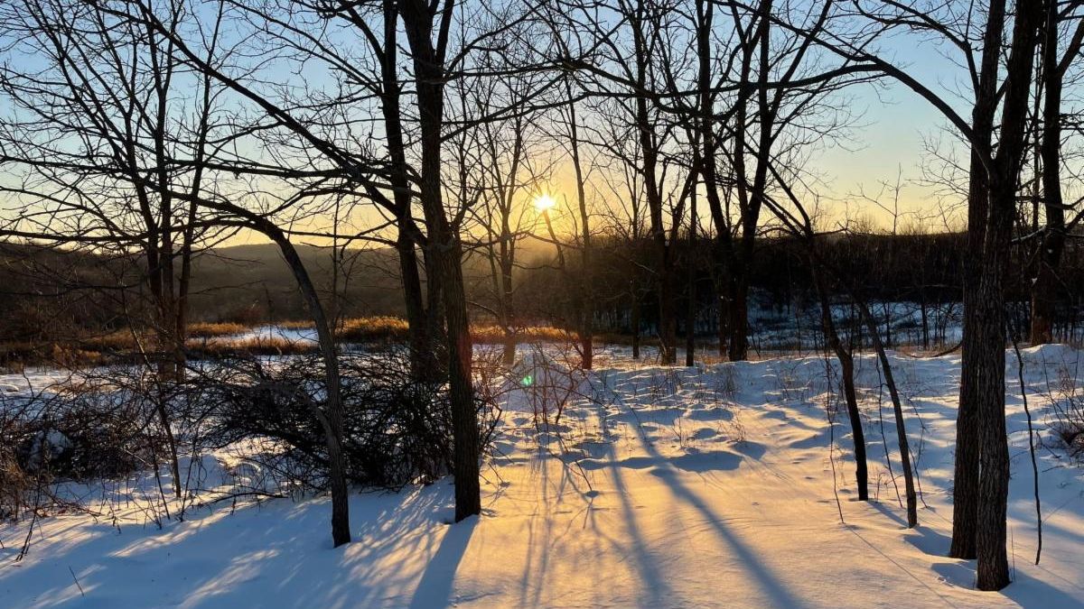 The winter sun low in the sky, reflecting on snow covered ground as seen through trees at Highland Lake State Park