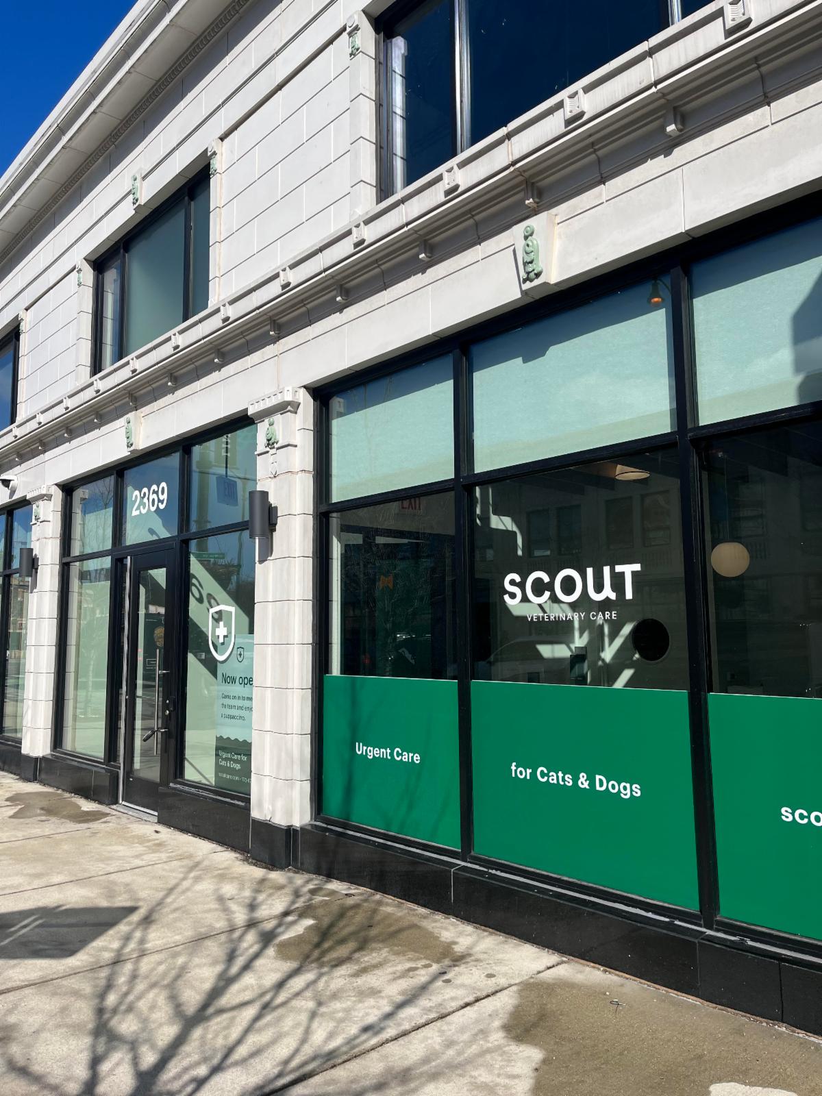 New Businesses Planting Roots in our Vibrant 43rd Ward
