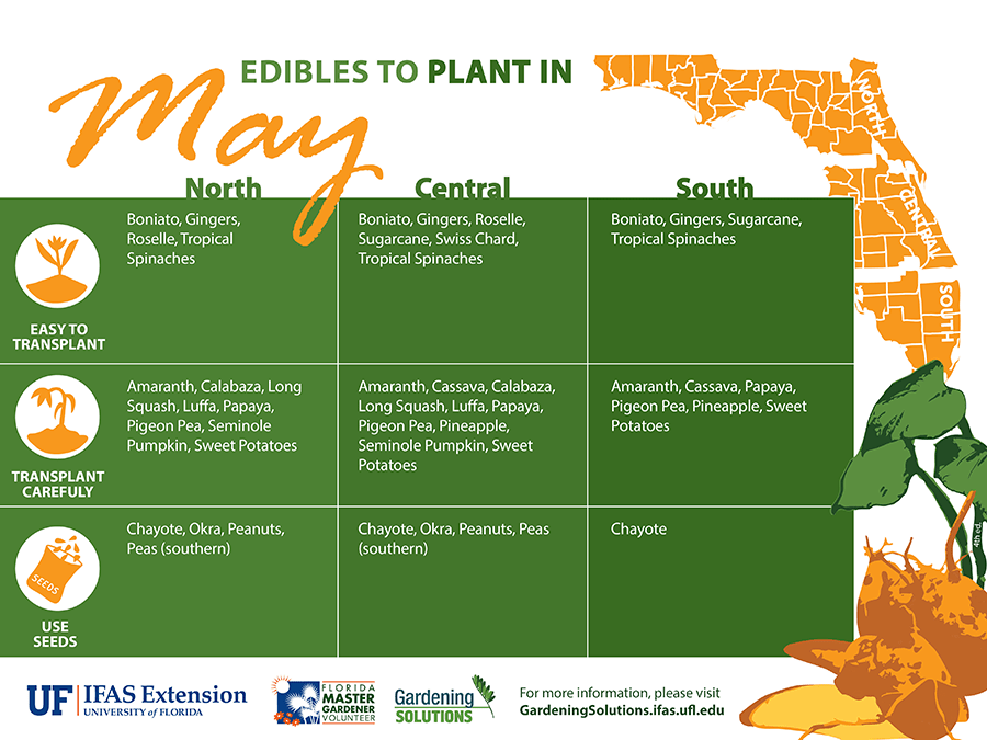 May Edibles to Plant Calendar