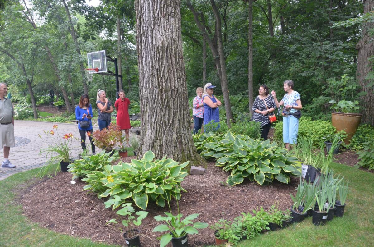 E News Road ConstructionPlant SaleSolicitors