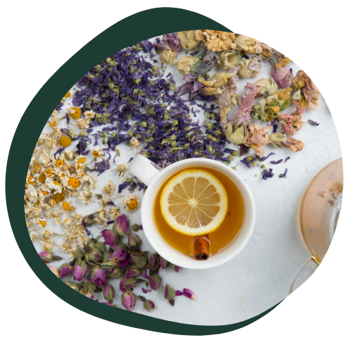 A cup of tea with lemon and cinnamon in it sits on a table. The table and cup are both white. The table is covered in dried flower petals. 