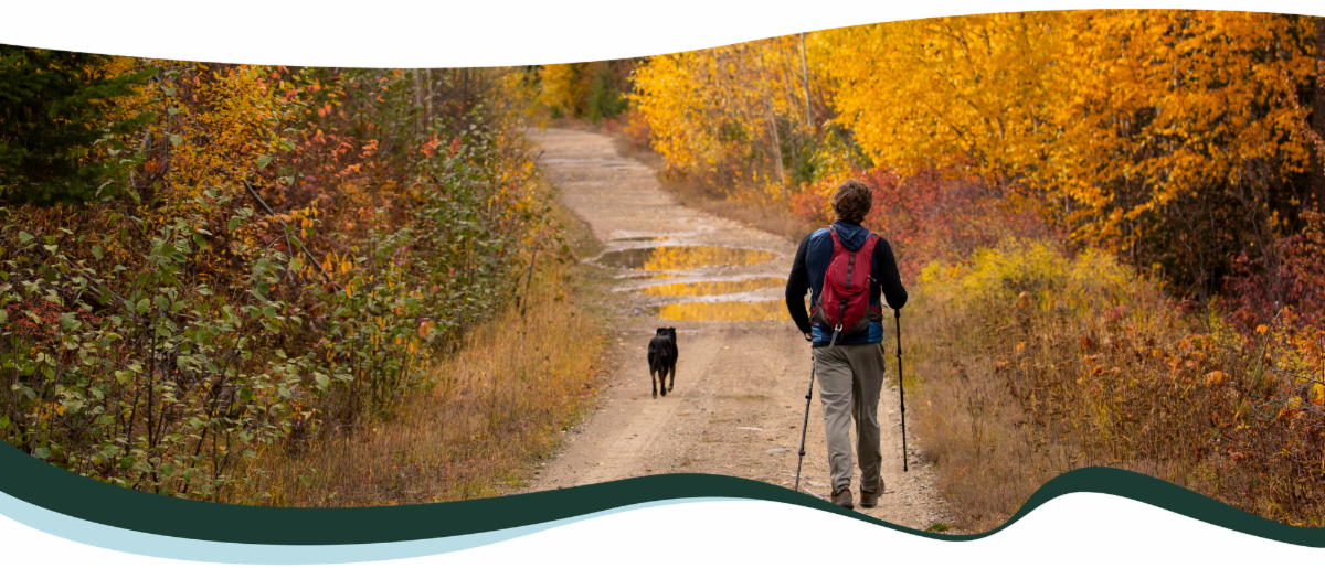 A man and a dog walk outside on a gravel path surrounded by trees. The trees are turning yellow and red from the fall season. The man wears a red backpack and is using two walking sticks. The dog is medium sized and has black fur.  
