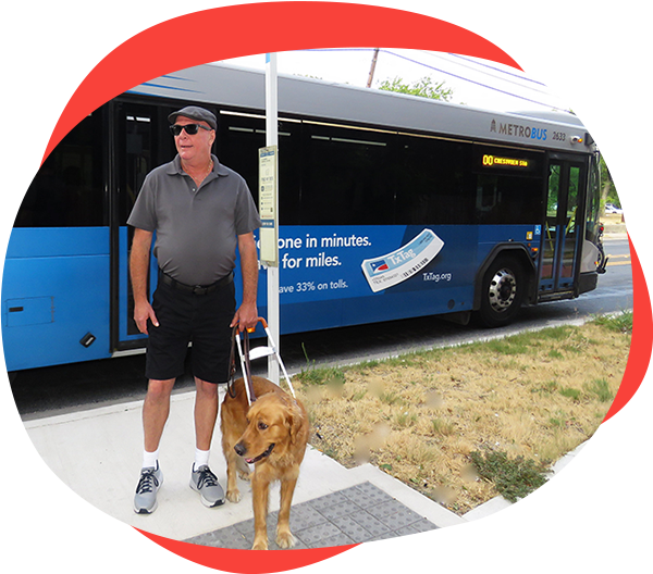 Man standing with his guide dog with a public bus in the background