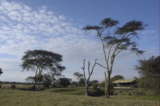 Porini Rhino Camp