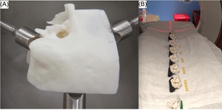 3-D temporal bone