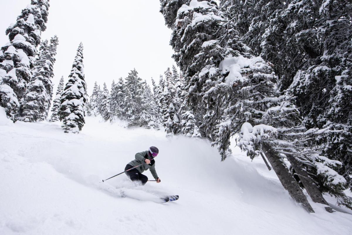 Powder turns at Fernie Alpine Resort