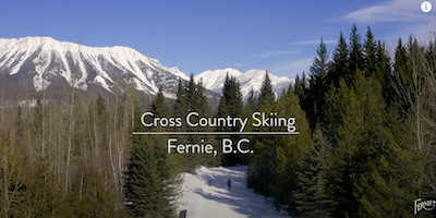 Nordic Video 2022-2023