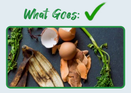 Screen Shot 2022-02-26 at 1.12.54 PM.png