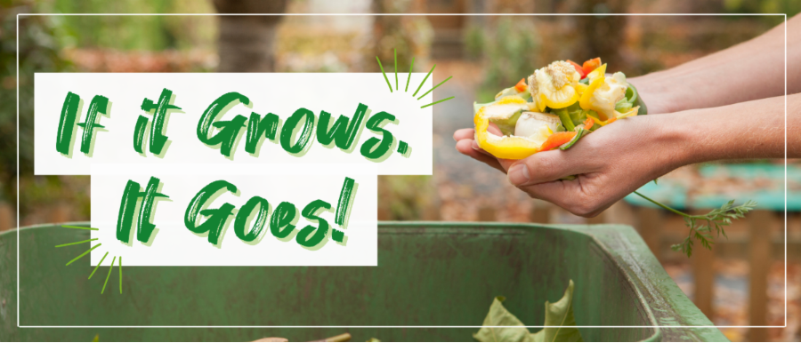 271 SVR Website Header.png