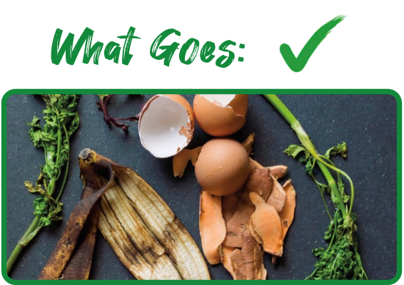 What Goes Image _1_.png