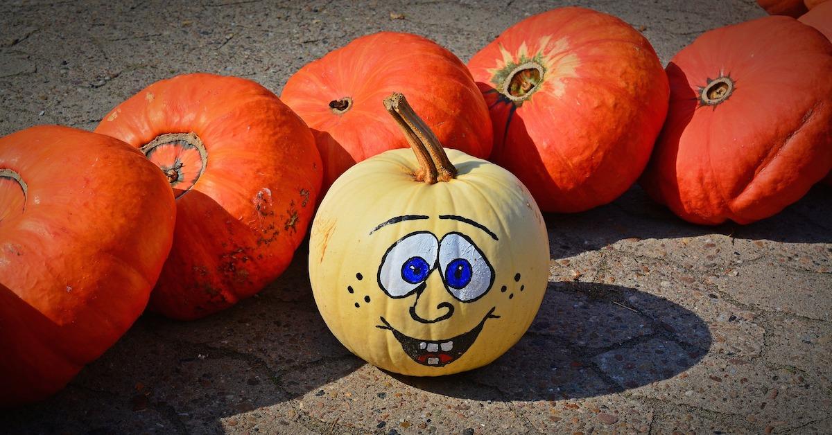 Bunch of pumpkins with one conspicuously standing out because of face painted on it