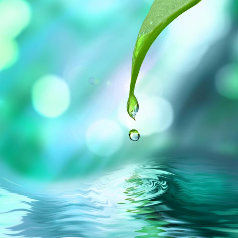 green_leaf_water_drop.jpg
