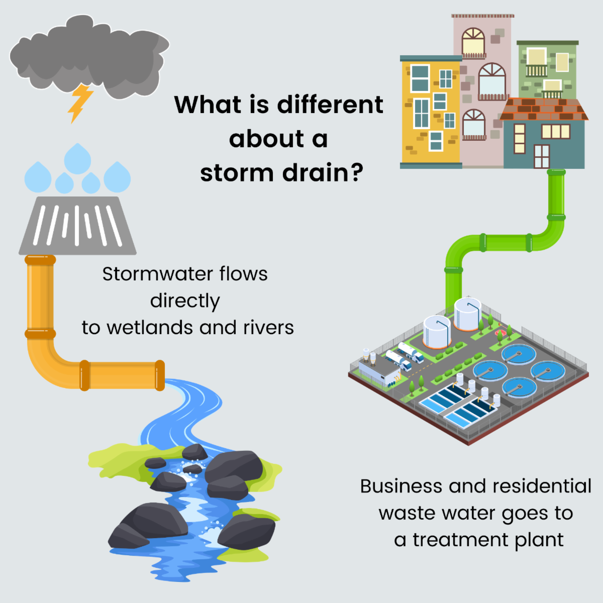 An infographic showing that stormwater drians directly to wetlands and rivers while home and business waste water goes to a treatment plant.